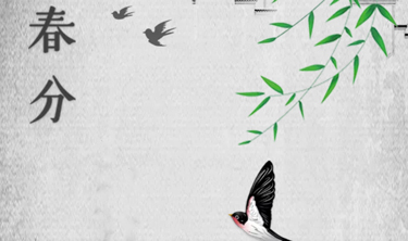 c7c7娱涝旖台官网入口(中国)官方网站