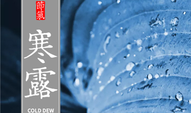 c7c7娱涝旖台官网入口(中国)官方网站